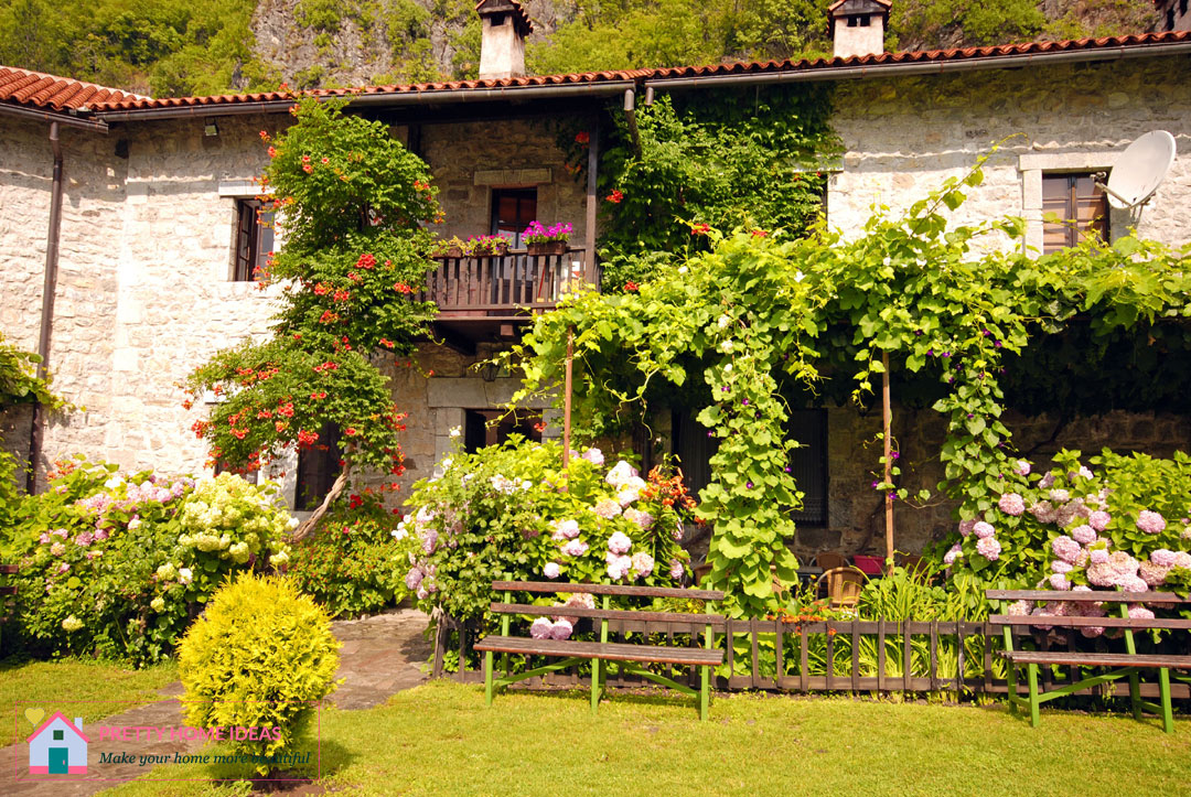 farmhouse garden